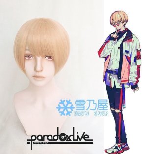 PL パラライ BAE 朱雀野アレン風 コスプレウィッグ - snowshop雪乃屋