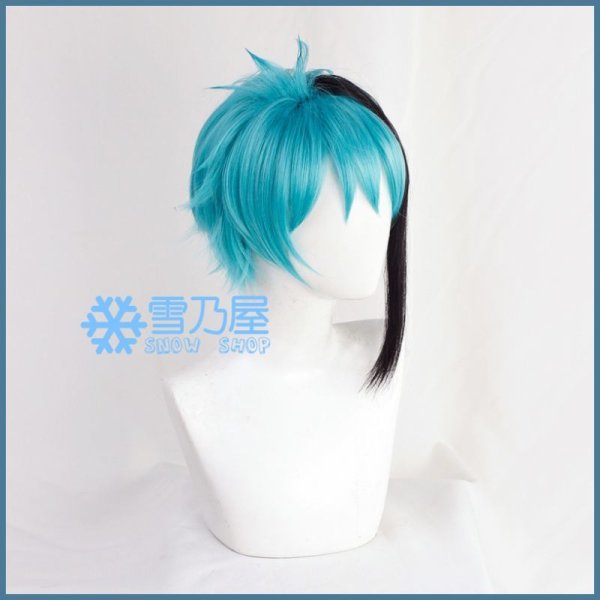 フロイド　ウィッグ