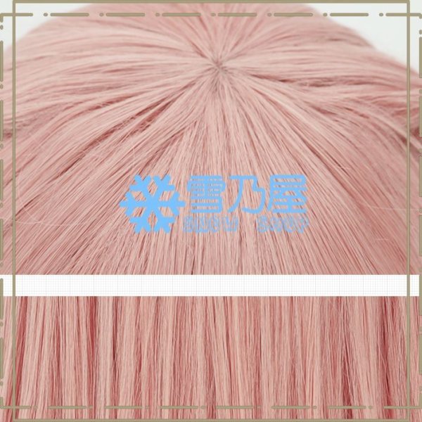 乾 心寿 ウィッグ