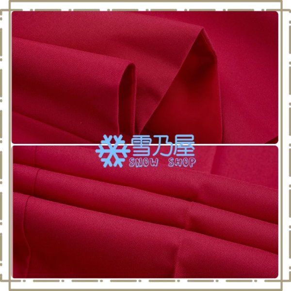 チャーリー・モーニングスター コス衣装