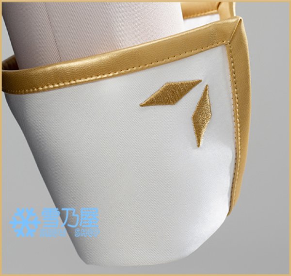 アリサ・ミハイロヴナ・九条衣装