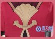 ヒアンシー　衣装