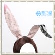 エイト夢の分かれ道衣装