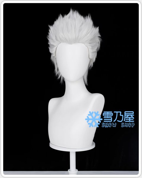 崩壊スターレイル　アーチャー　ウィッグ