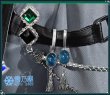ジール・ギンジョウカ衣装