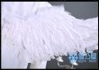 風楽奏斗Angel×Devil衣装