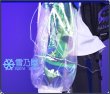 ミヅキ　永遠のプレイヤー衣装
