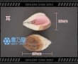 アリス衣装