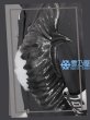 澄野拓海　戦闘服