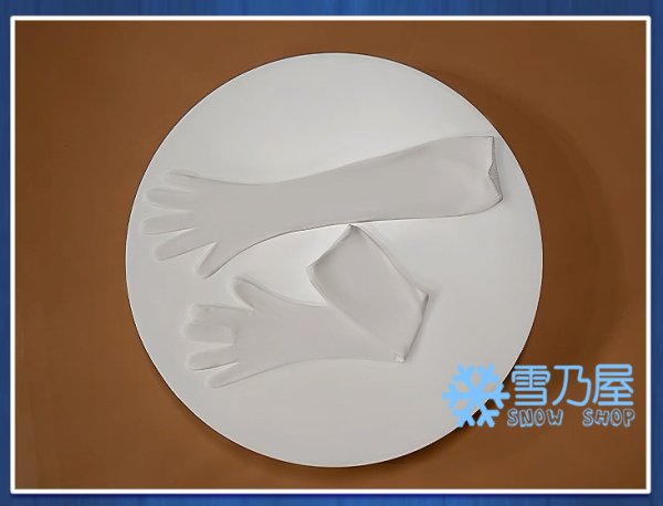 フェロー・オネスト衣装