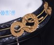 ガルブレーナ衣装